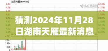 湖南天雁最新动态预测，2024年11月28日的消息及其深远影响分析