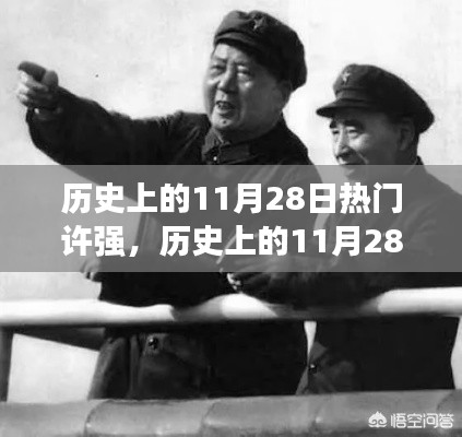 历史上的11月28日聚焦热门人物许强