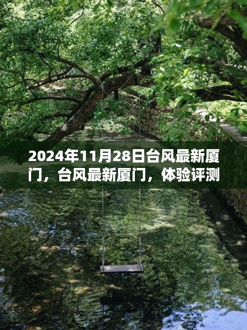 台风最新动态与深度分析，厦门体验评测报告（2024年11月28日）