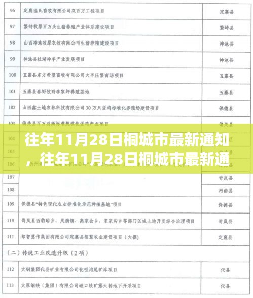 往年11月28日桐城市通知详解，深度解读与观点探析