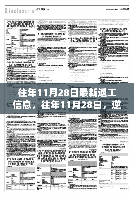 逆风翻盘的奇迹，往年1月28日返工信息中的学习与改变的力量