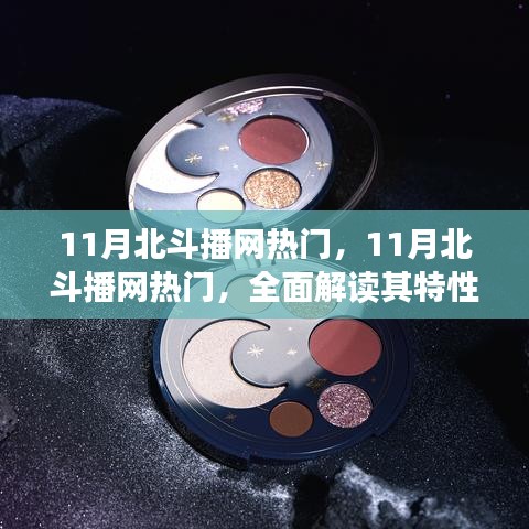 11月北斗播网热门解析，特性、体验、竞品对比及用户群体深度探讨