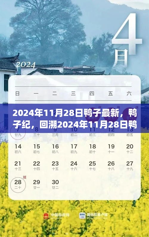 回溯2024年11月28日鸭子事件，时代影响与鸭子纪最新动态