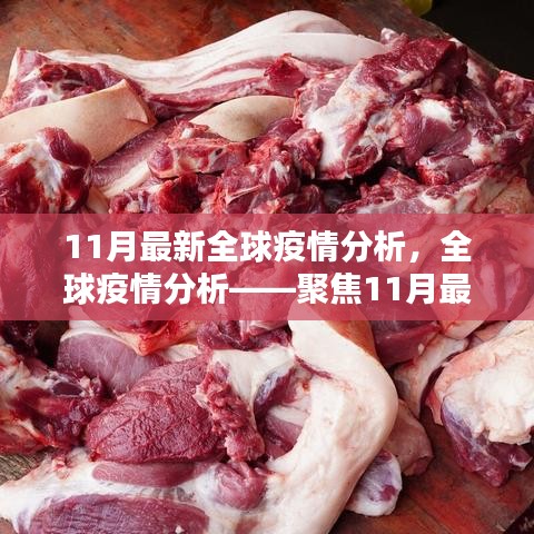 全球疫情最新动态分析，聚焦11月最新数据报告