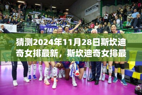 斯坎迪奇女排最新动态展望，2024年11月28日的猜想与深度解析