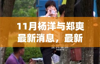 杨洋与郑爽十一月最新动态揭秘，追星指南带你掌握第一手资讯！