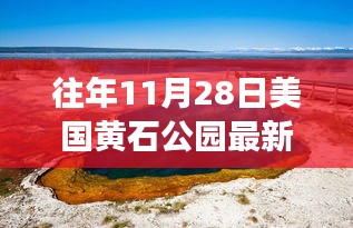 揭秘往年11月28日黄石公园最新动态，生态科研与游客体验的新篇章开启！