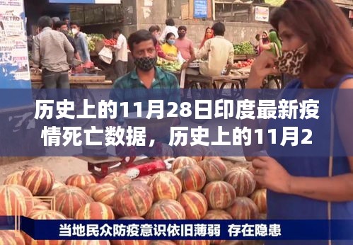历史上的11月28日印度最新疫情死亡数据，历史上的11月28日印度疫情死亡数据深度解析