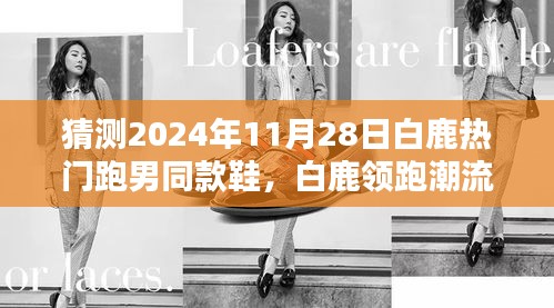 白鹿领跑潮流前沿，跑男同款鞋预测与回顾——2024年跑鞋潮流展望