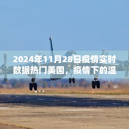 疫情下的美国温馨日常与友情小记——2024年11月28日实时数据观察