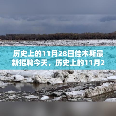新手上路 第217页
