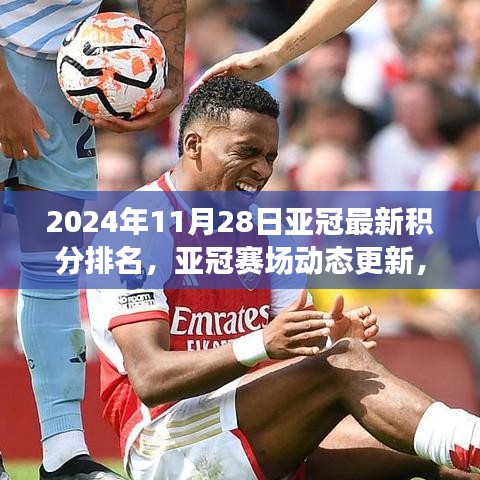 亚冠赛场动态更新，最新积分排名解析（2024年11月28日）