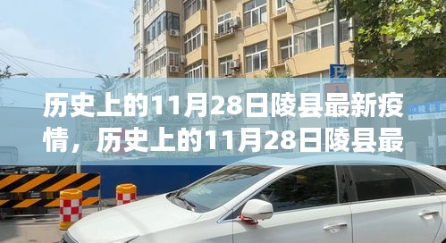 历史上的11月28日陵县疫情状况与评测报告概览