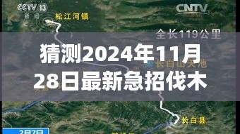 揭秘小巷深处的独特小店，急招伐木工人的背后故事与最新急招信息（2024年11月28日）
