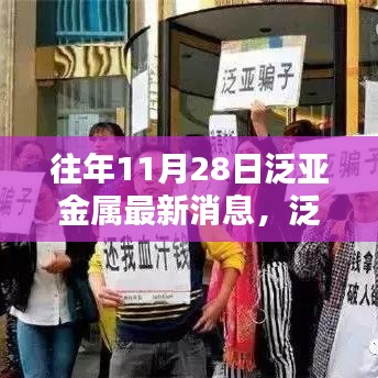 往年11月28日泛亚金属动态解析，最新消息获取指南与行业趋势追踪