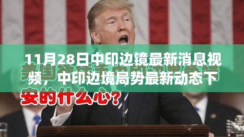 中印边境局势最新动态观察与解析，11月28日最新消息视频涉政探讨