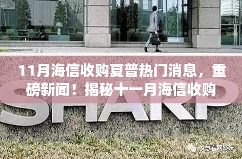 揭秘，海信收购夏普背后的故事，重磅新闻揭秘十一月交易热潮！