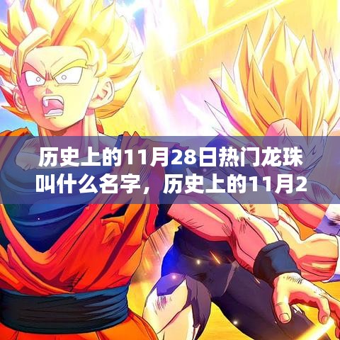 历史上的11月28日热门龙珠深度解析，XX龙珠为例探讨其影响与魅力