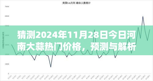 河南大蒜热门价格展望，预测与解析（2024年11月28日版）