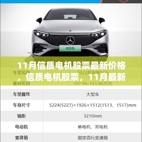 11月信质电机股票最新动态与行业地位探析，最新价格及市场动态概览