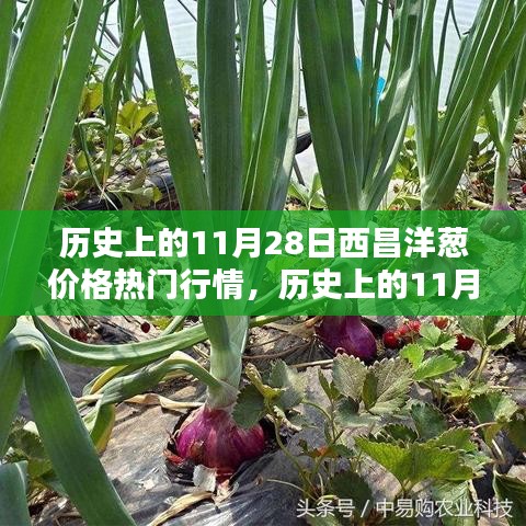 一言九鼎 第5页