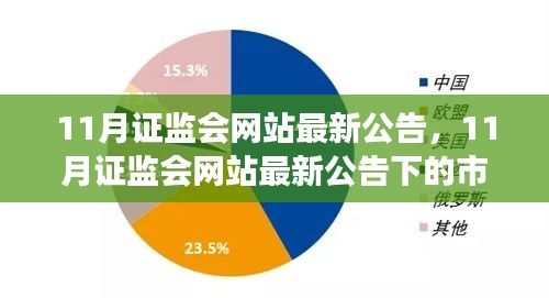 深度解析与观点碰撞，11月证监会网站最新公告引领市场走向