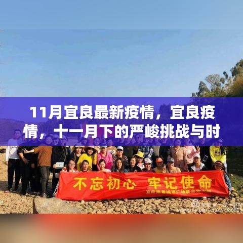宜良疫情最新动态，十一月下的挑战与时代的印记