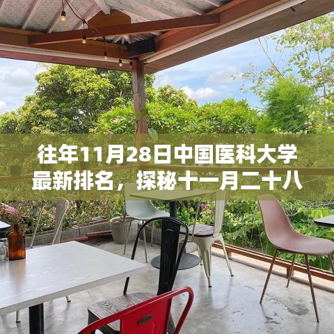 探秘中国医科大学最新排名背后的小巷特色小店，十一月二十八日独家报道