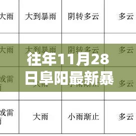 应对往年11月28日阜阳暴雨的应急准备与应对措施指南