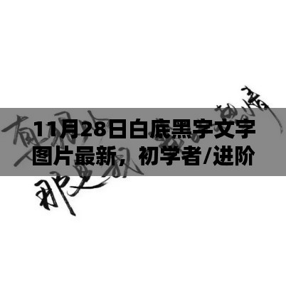 11月28日白底黑字文字图片制作指南，适合初学者与进阶用户的详细步骤