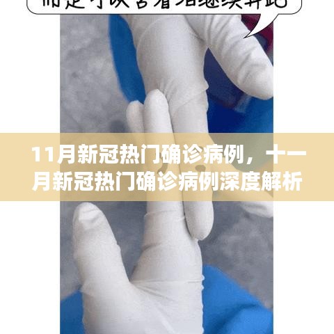 小红书独家解析，十一月新冠热门确诊病例深度观察