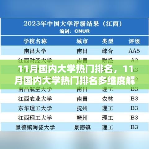 11月国内大学热门排名解析，多维度评估与个人观点