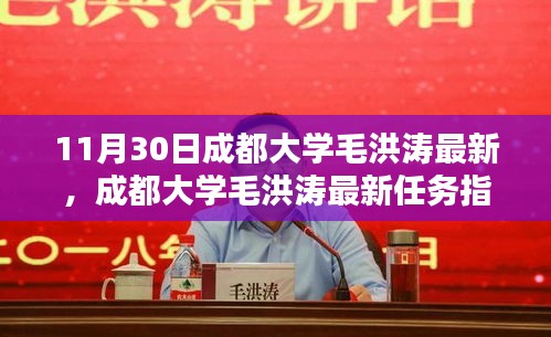 成都大学毛洪涛任务指南，一步步掌握技能，成为专家之路