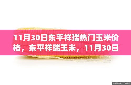 11月30日东平祥瑞玉米价格风云与产业影响解析