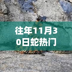 揭秘蛇类新闻热点，往年1月30日蛇类三大要点深度解读回顾与解读