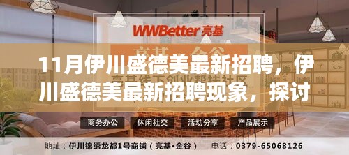 伊川盛德美最新招聘现象，利弊分析与个人立场探讨