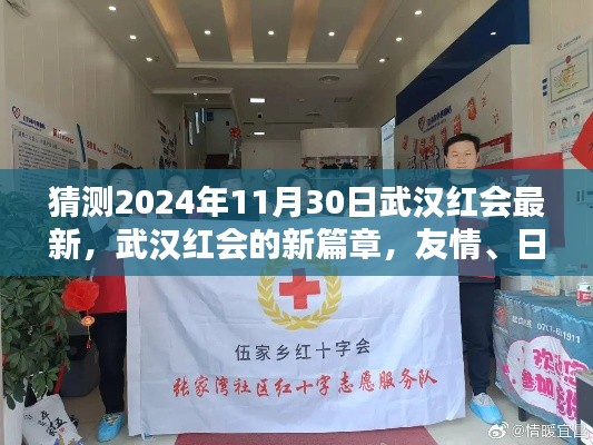 武汉红会新篇章，友情、日常与家的温暖展望（2024年11月30日最新动态）
