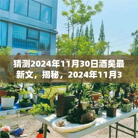 揭秘未来酒文化盛宴，酒矣最新文预测与展望 2024年11月30日展望品鉴日。
