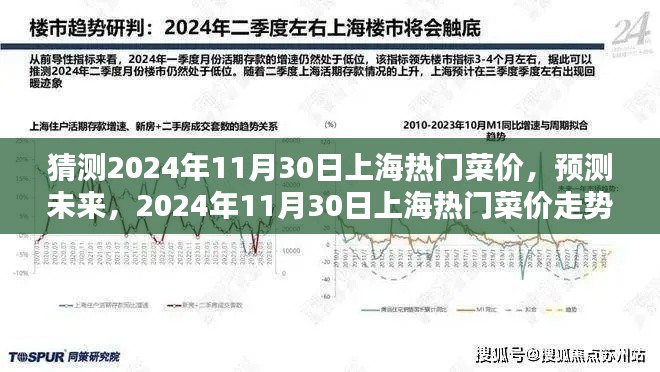 2024年11月30日上海热门菜价预测与走势分析
