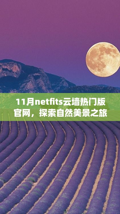 Netfits云墙热门版官网，探索自然美景之旅，寻找内心的宁静绿洲