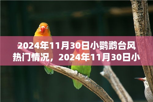空前绝后 第4页