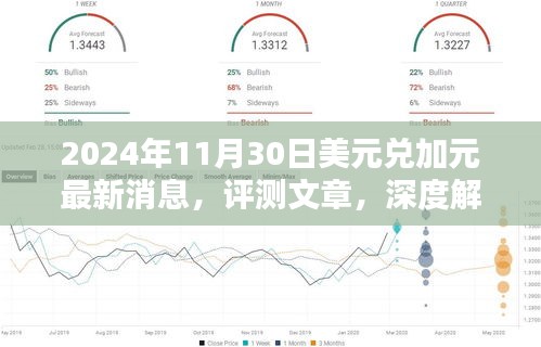 深度解析，2024年11月30日美元兑加元汇率最新动态与趋势分析