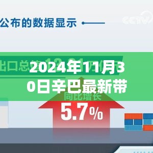 辛巴直播带货再创佳绩，揭秘最新带货数据（2024年11月30日）