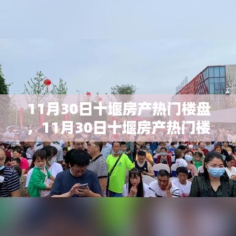 11月30日十堰房产热门楼盘详解及选购指南，选购步骤与策略
