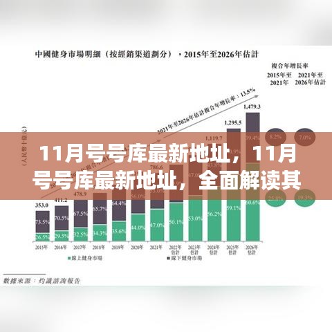 11月号号库最新地址全面解析，特性、体验、竞品对比及用户群体深度分析