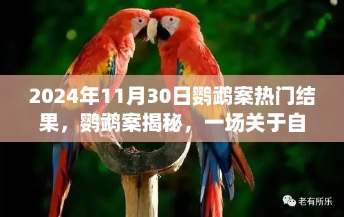 揭秘鹦鹉案，自由与权利的较量，热门结果揭晓！