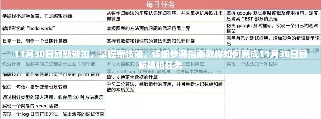 掌握新技能，详细步骤指南教你完成11月30日最新任务实拍攻略