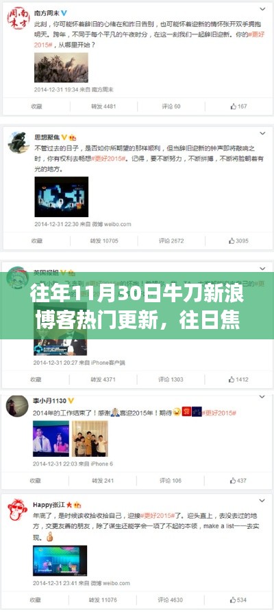 牛刀新浪博客11月30日热门更新解读与回顾