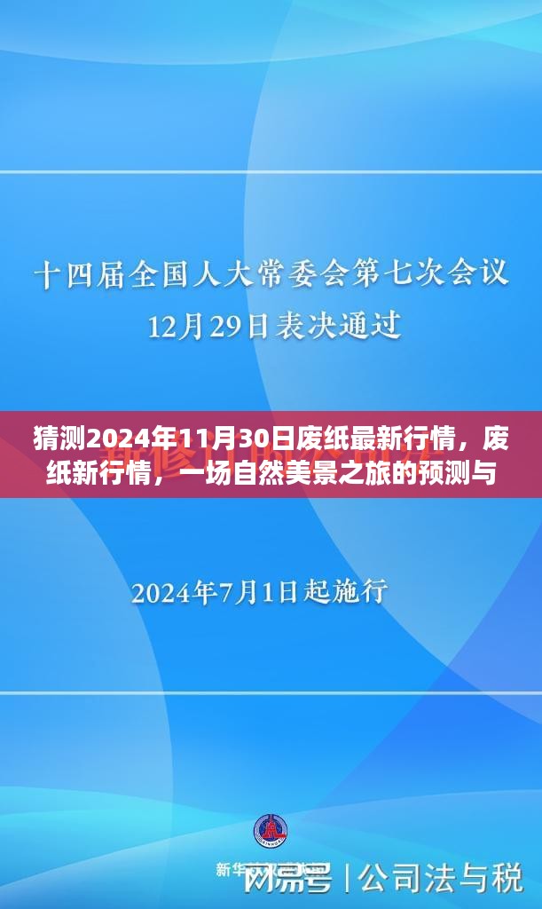 废纸新行情预测与心灵净化之旅，2024年11月30日的自然美景展望