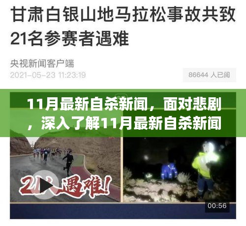 深入了解悲剧背后的原因，如何有效预防与应对自杀危机